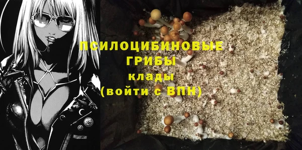 ГАЛЛЮЦИНОГЕННЫЕ ГРИБЫ Верхнеуральск