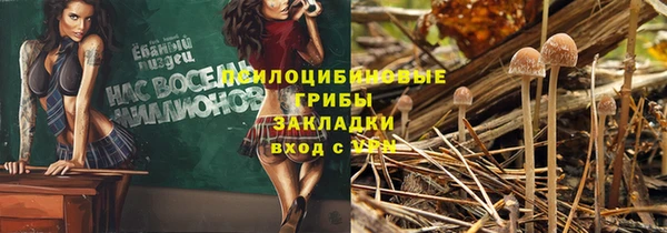 ГАЛЛЮЦИНОГЕННЫЕ ГРИБЫ Верхнеуральск