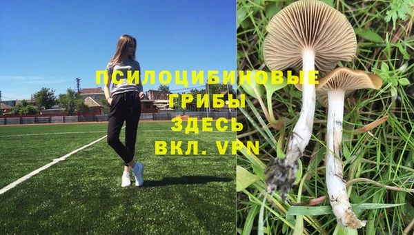ГАЛЛЮЦИНОГЕННЫЕ ГРИБЫ Верхнеуральск