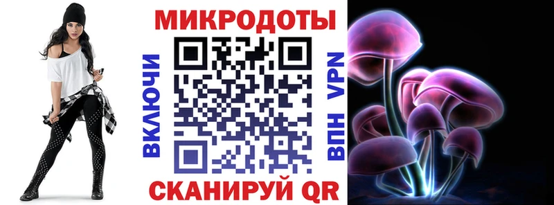 хочу   Тула  Псилоцибиновые грибы Cubensis 